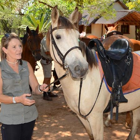 Villa Wild Ride Safaris And Bush Camp Hoedspruit Exterior foto