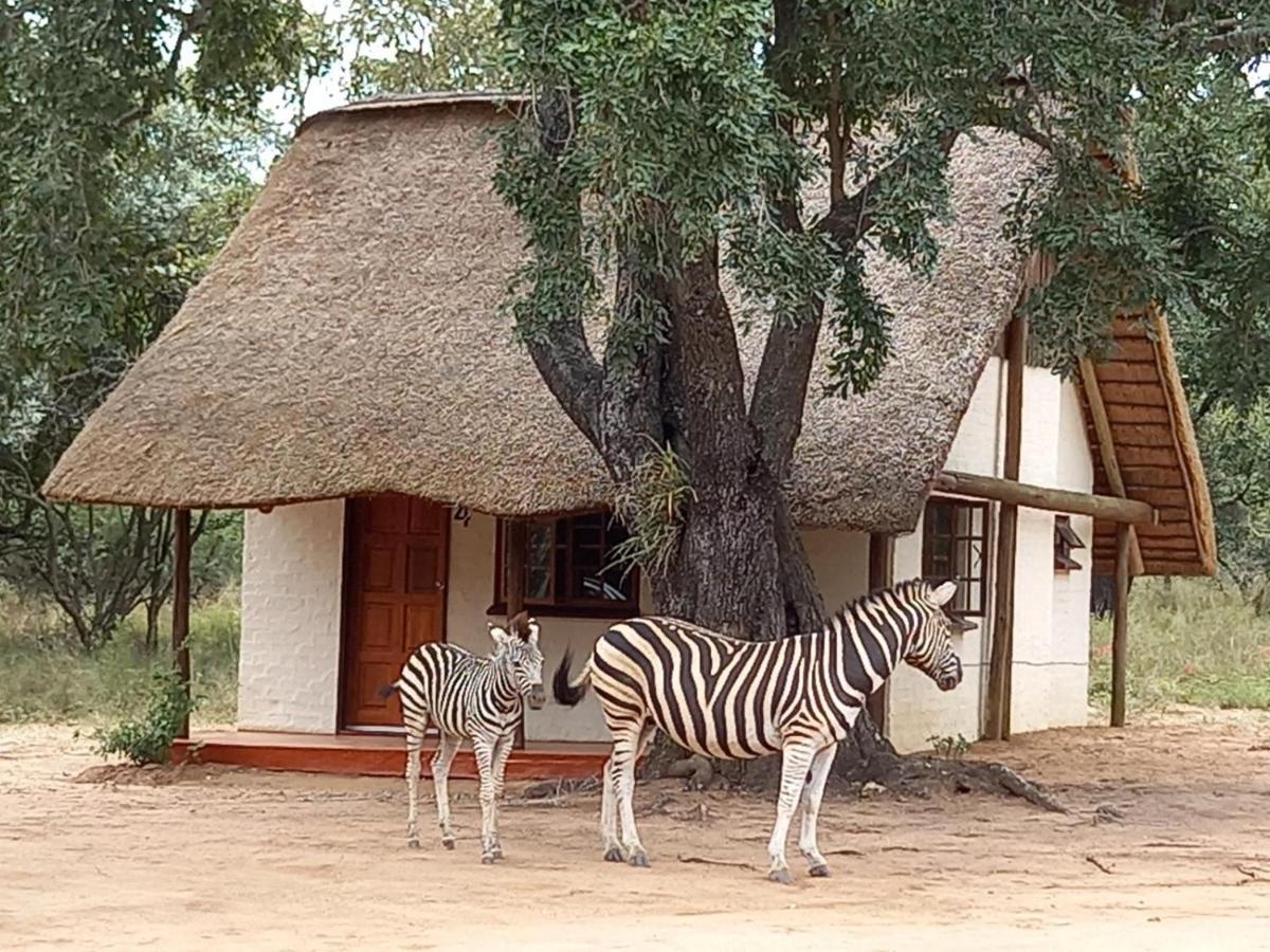 Villa Wild Ride Safaris And Bush Camp Hoedspruit Exterior foto
