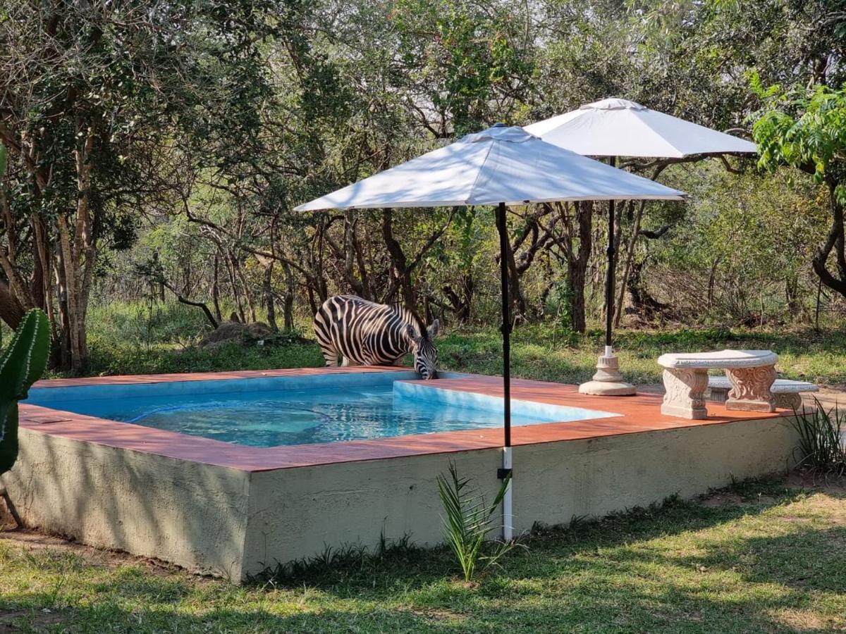 Villa Wild Ride Safaris And Bush Camp Hoedspruit Exterior foto