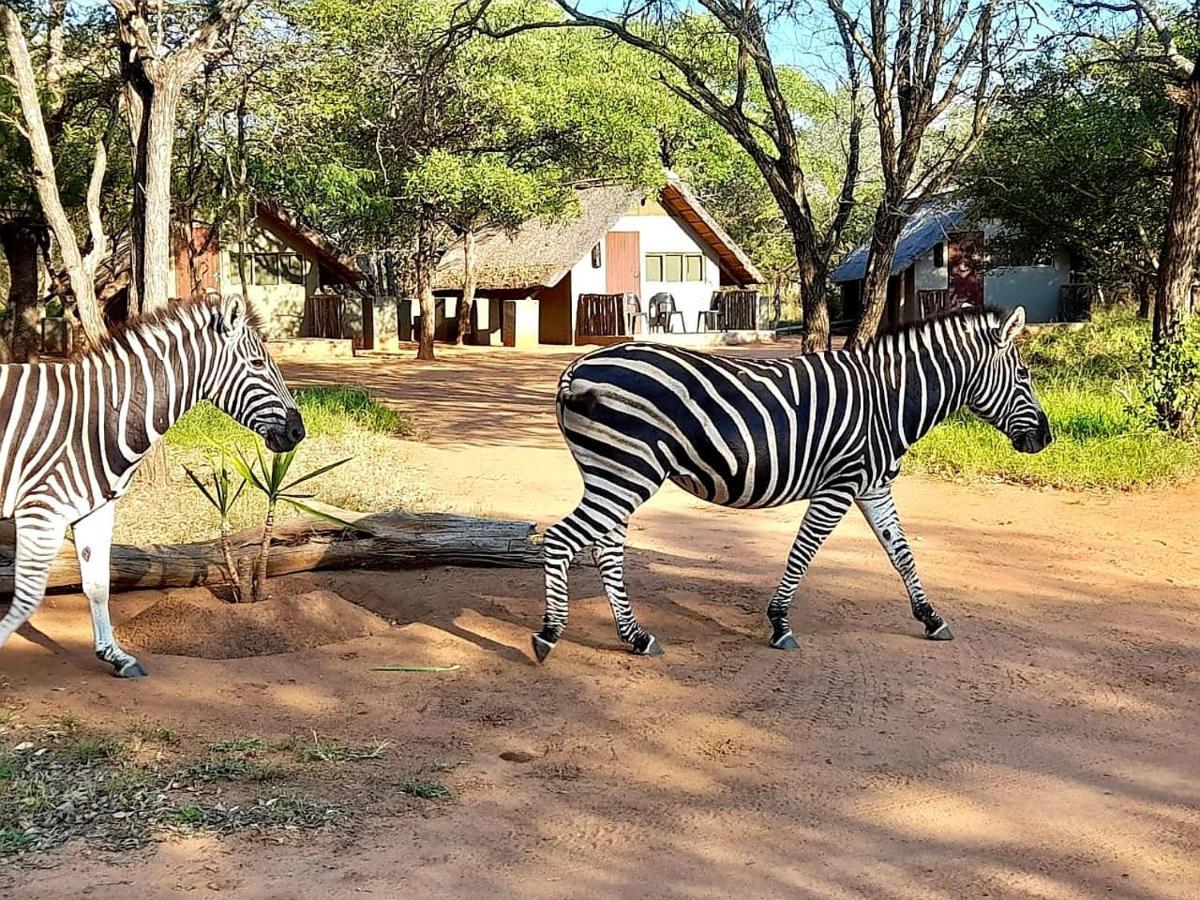 Villa Wild Ride Safaris And Bush Camp Hoedspruit Exterior foto